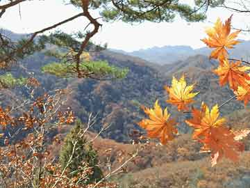 國(guó)色芳華開(kāi)播，國(guó)風(fēng)舞蹈綻放云端舞臺(tái)